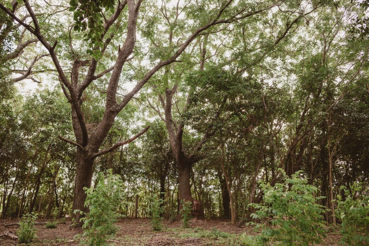 El Rincon - Casa De Campo Кармело Экстерьер фото